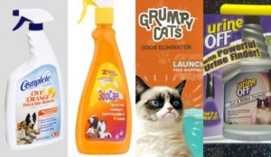 Special products for removing the smell of cat urine from the sofa.