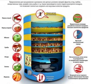 Σχεδιασμός και αρχή λειτουργίας στεγνωτηρίου φρούτων και λαχανικών.