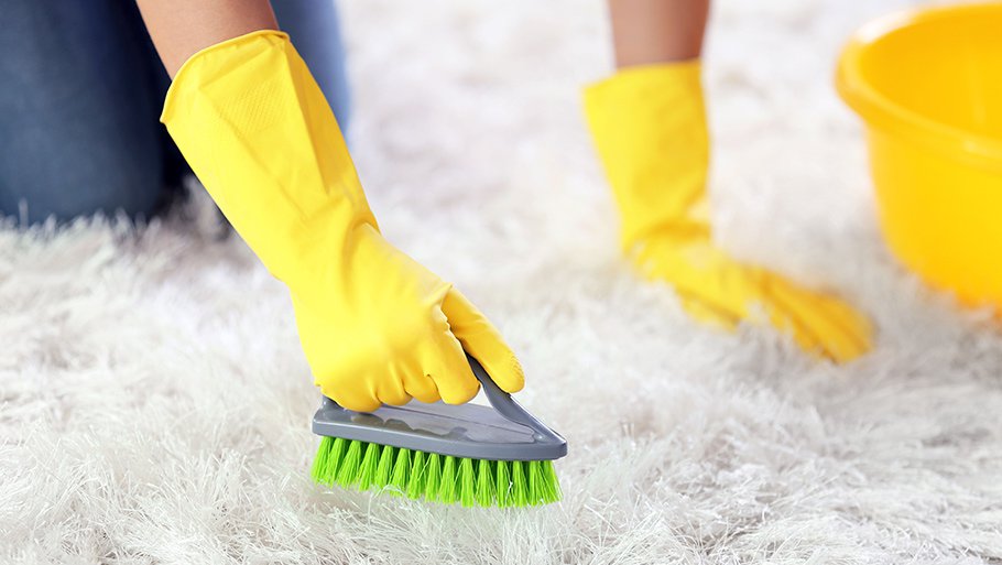 Cleaning long-pile carpet with a brush.