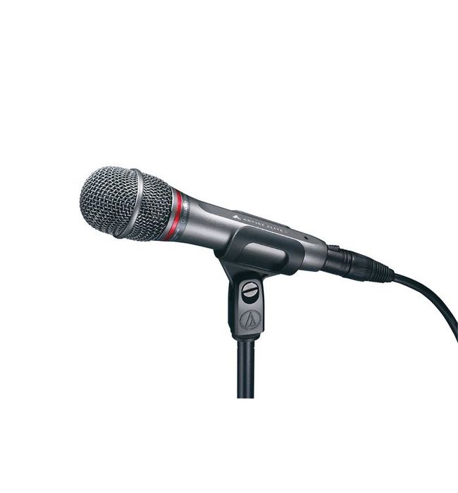 Vocal dynamic microphone.