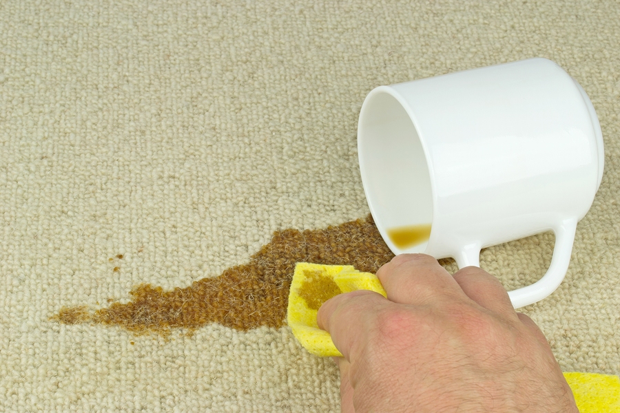 Removing coffee stains from carpet.