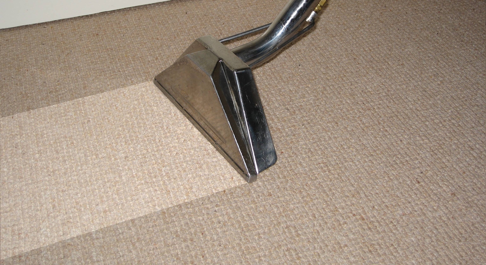 Cleaning the carpet with a washing vacuum cleaner.