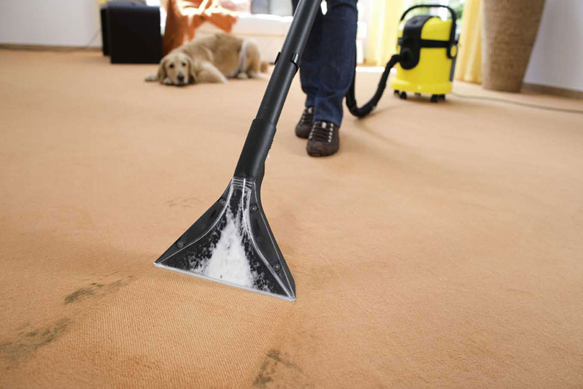 Cleaning the carpet with a washing vacuum cleaner.