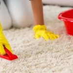 How to clean a carpet with baking soda 5