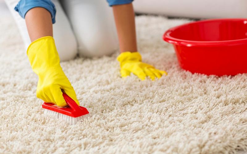 How to wash a carpet