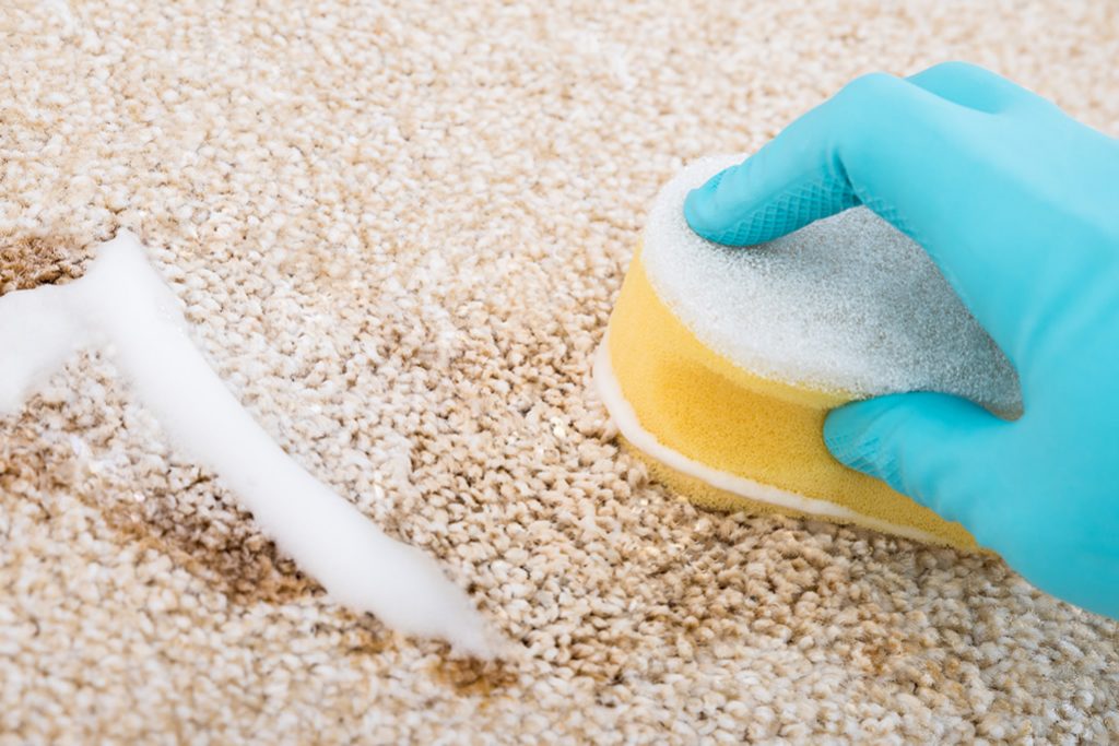 How to remove slime from a carpet 