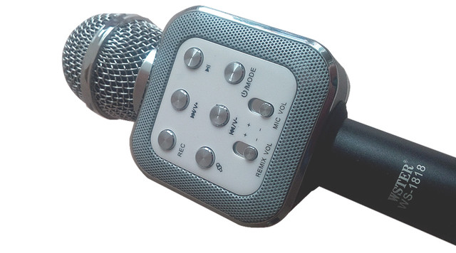 Karaoke microphone 