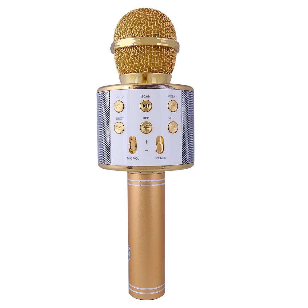 Karaoke microphone.