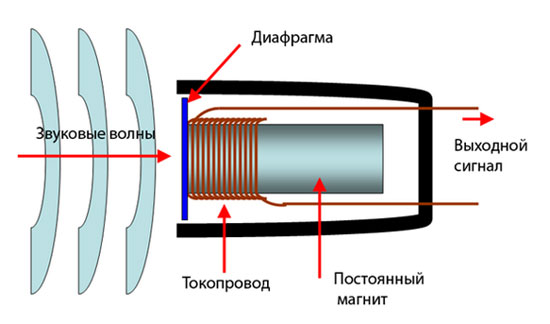 How the microphone works