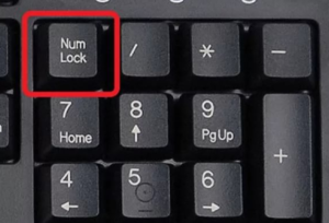 Num Lock on the keyboard