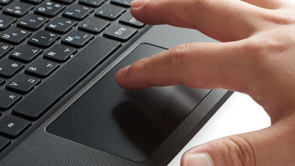 Touchpad instead of a mouse on a laptop.