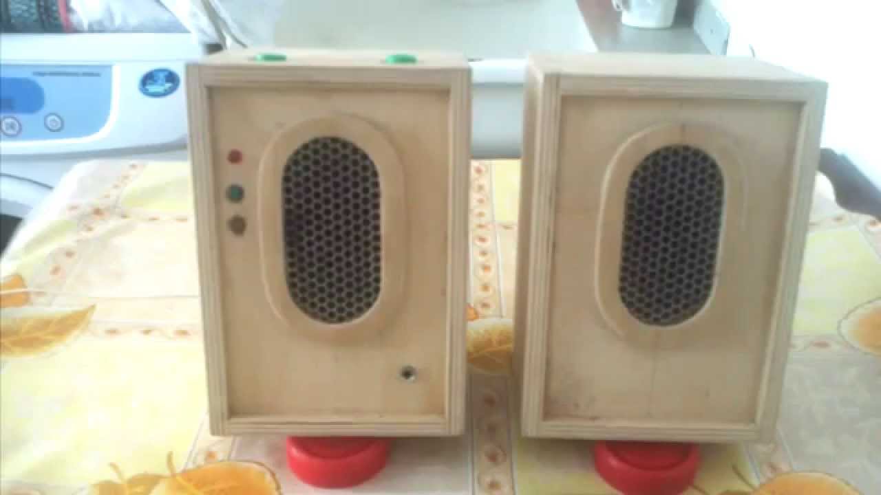 How to make computer speakers with your own hands