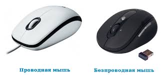 Types of mice 