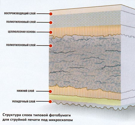 Composition of photographic paper.