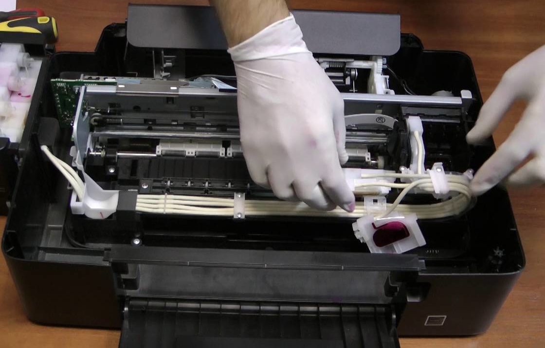 Checking the internal parts of the printer.