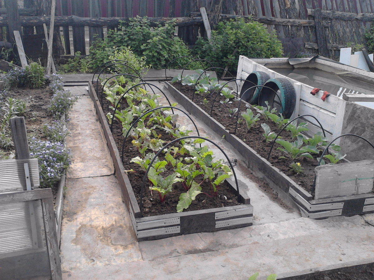 Why take leftover linoleum to your dacha?