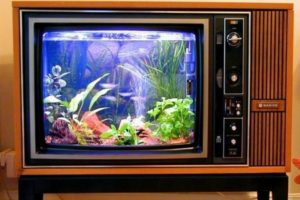 finished aquarium in an old TV