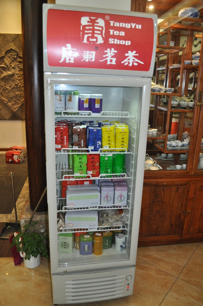 tea refrigerator