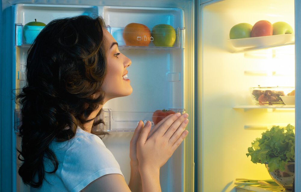 conversation with the refrigerator