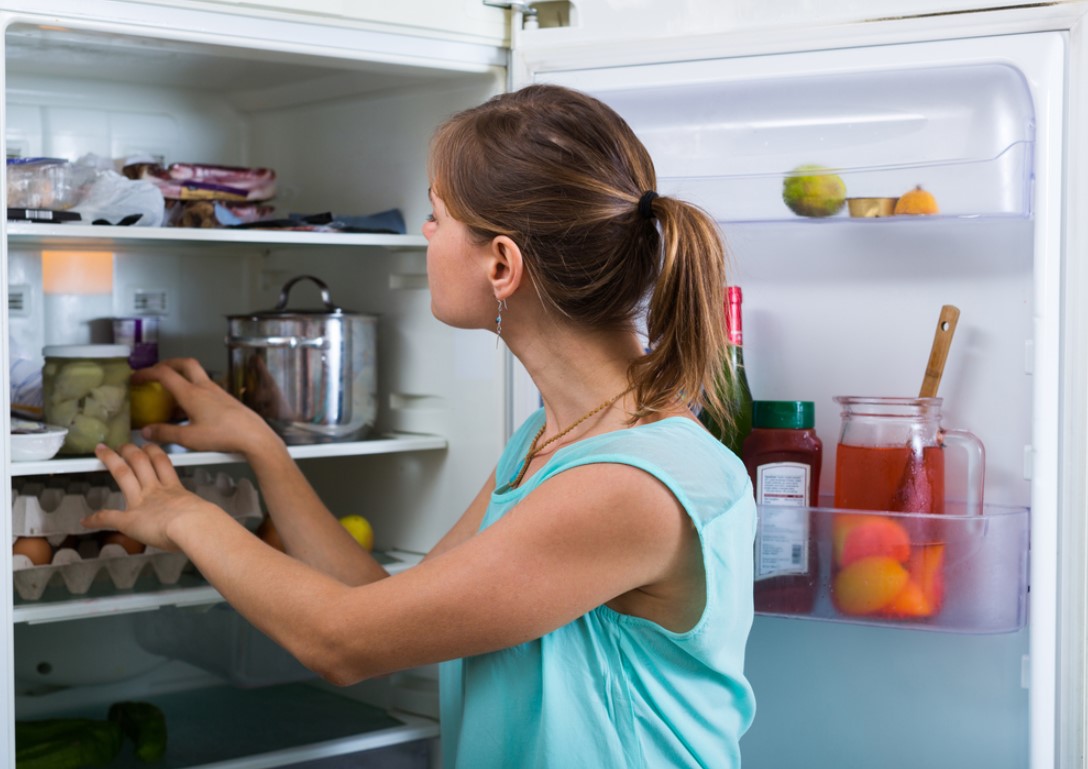 conversation with the refrigerator