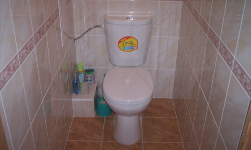 Toilet and cistern.