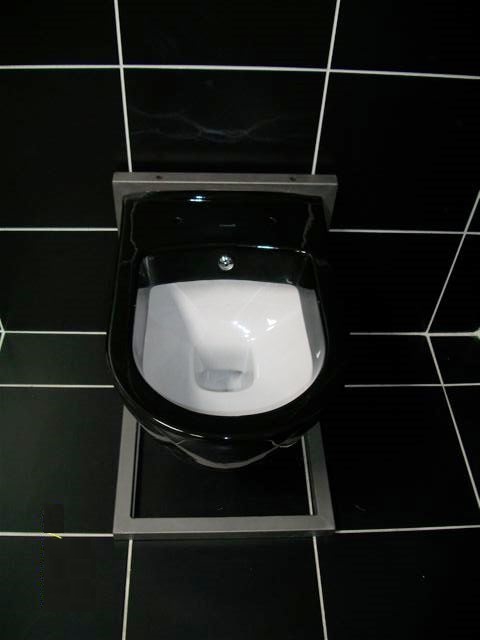 black toilet with white insides