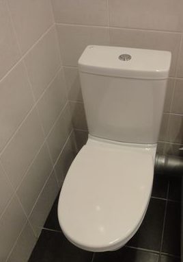 We put the toilet in the place of the previous one.