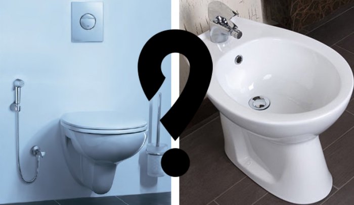 bidet or shower