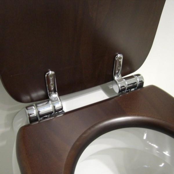 Mount for toilet lid with microlift