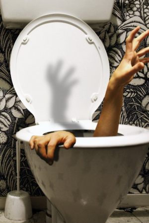 What could come out of your toilet? Real stories