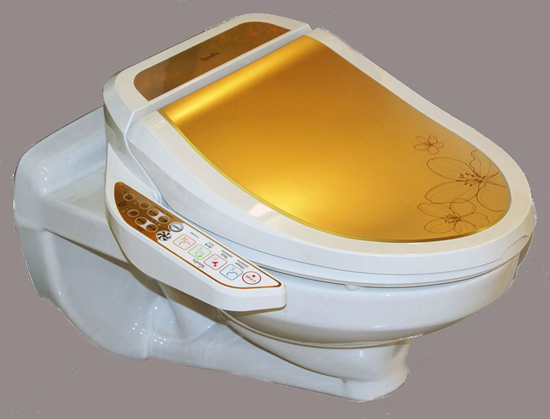 Bidet lid.