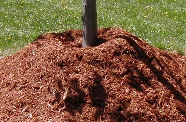 Mulching