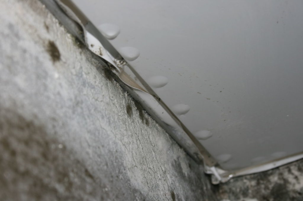 mold under suspended ceiling