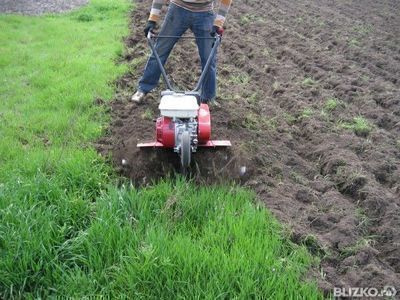 cómo cultivar con un motobloque