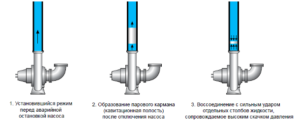 Veehaamer