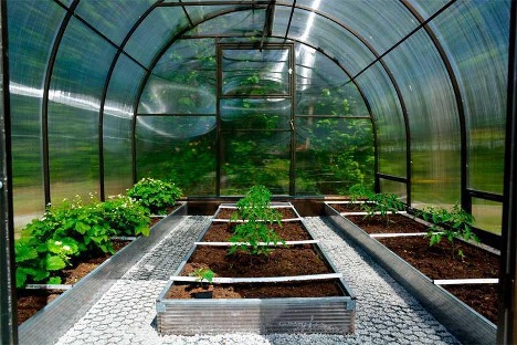 How to improve soil in a greenhouse